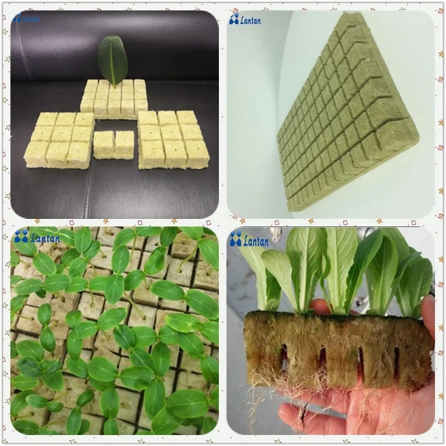 Agricultural Hydroponic Rock Wool Cube for Greenhouse Seedling