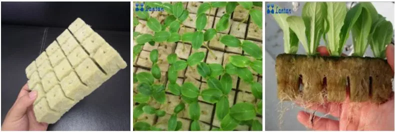 Agricultural Hydroponic Rock Wool Cube for Greenhouse Seedling